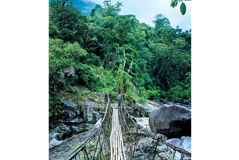 A Walk In The Clouds : Meghalaya Wire bridges marry natural with the manmade