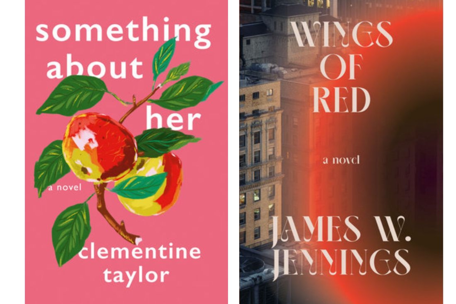 Debut Books: November 2023	