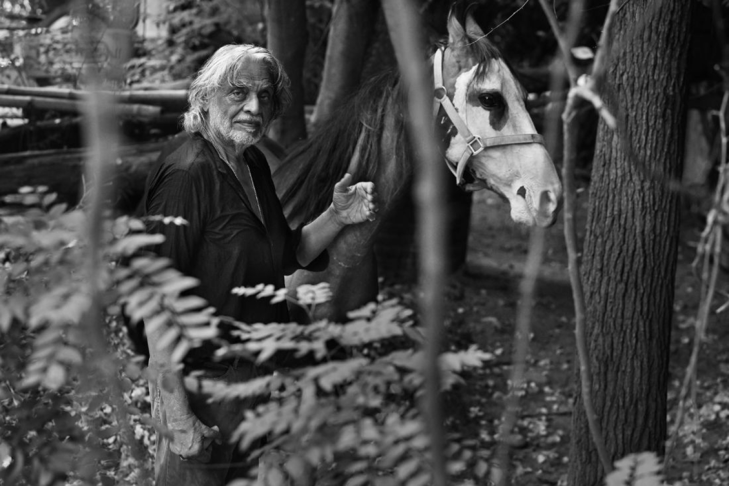 The Legend of Muzaffar Ali and Horses