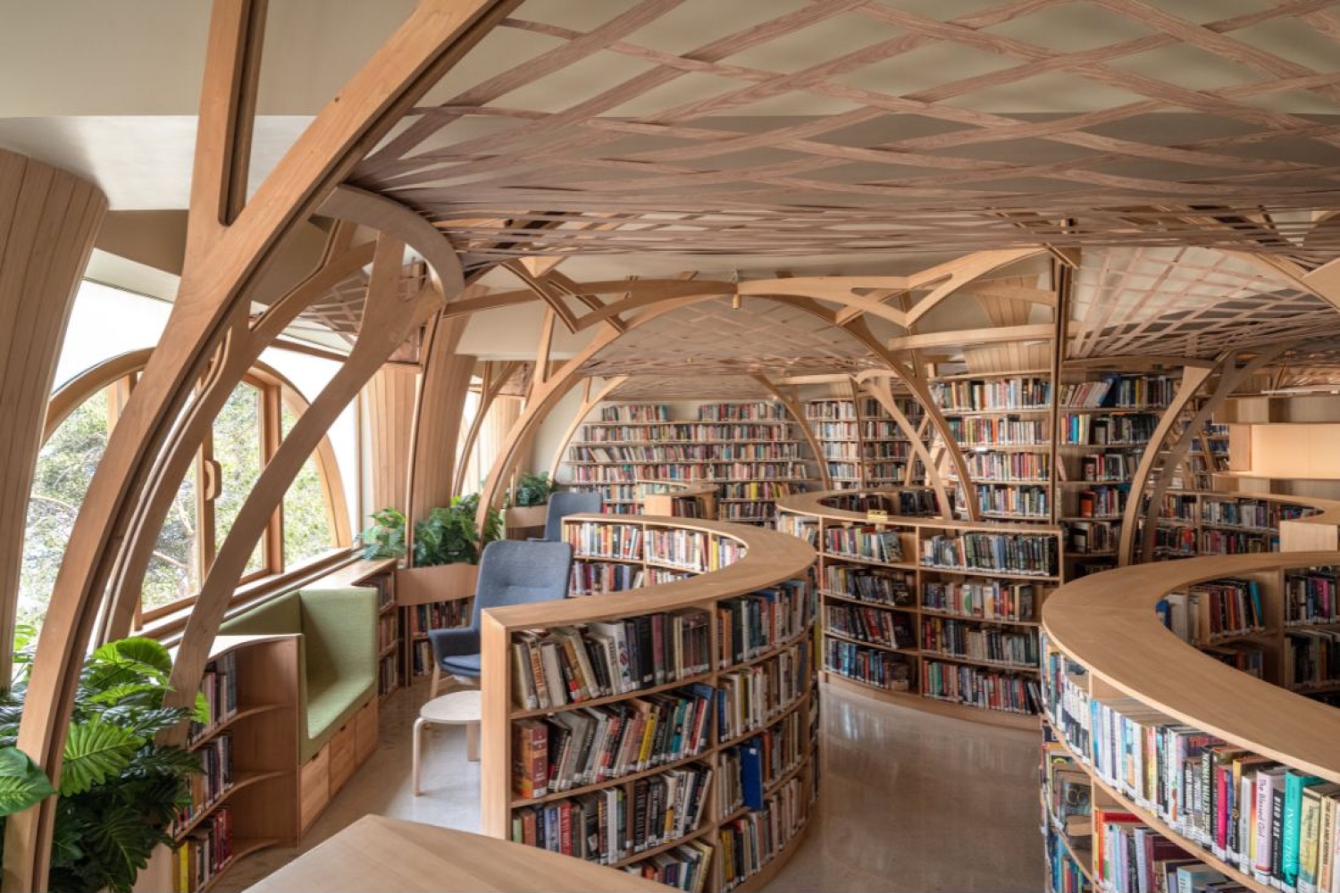 Studio Hinge's Library that Akins to Nature