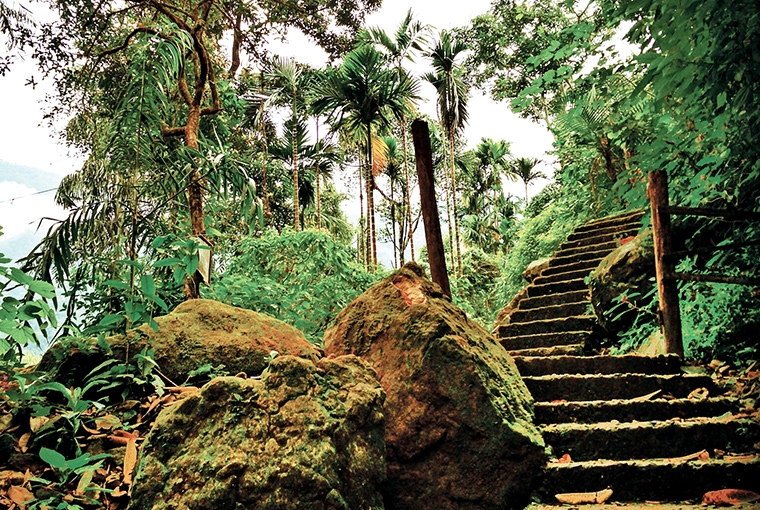 A Walk In The Clouds : Meghalaya Staircase to heaven