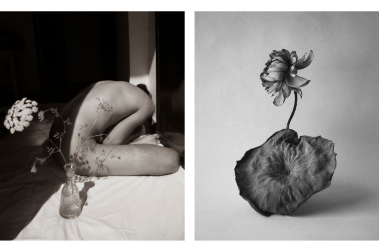 The Extraordinary Within Ordinary Self-potrait | Dead lotus and a leaf (right)