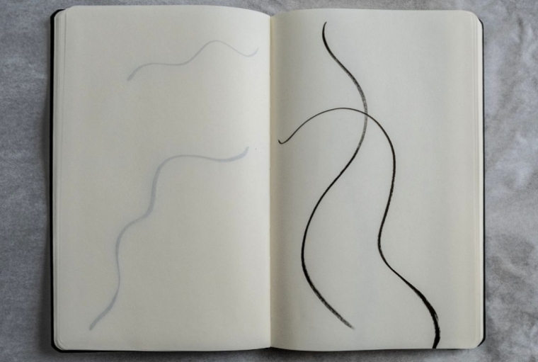 Fragility and Resilience Sketchbook