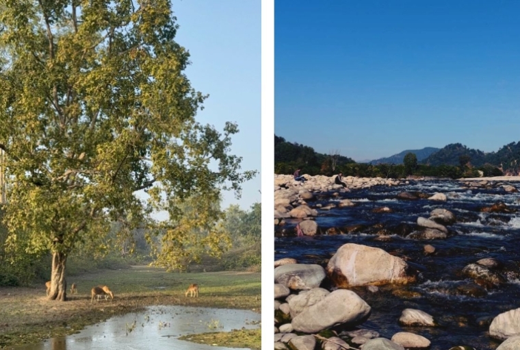 Jim Corbett Beyond Tigers 