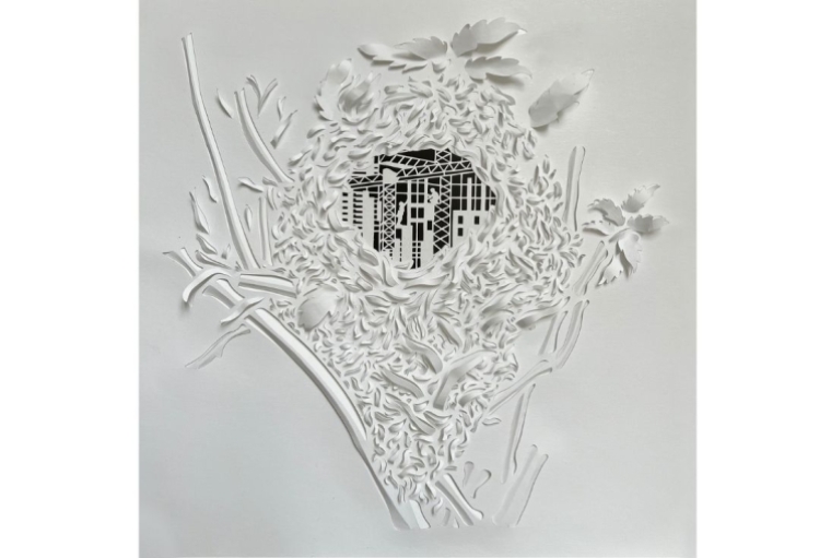 Parth Kothekar Tree-less existence Series (Where construction invades the privacy of nature) 