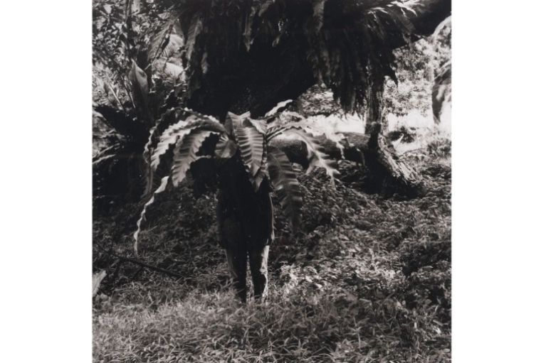 The Elemental You Simryn Gill Vegetation , 1999 Silver gelatin photograph, Set of five Collection: Kiran Nadar Museum of Art