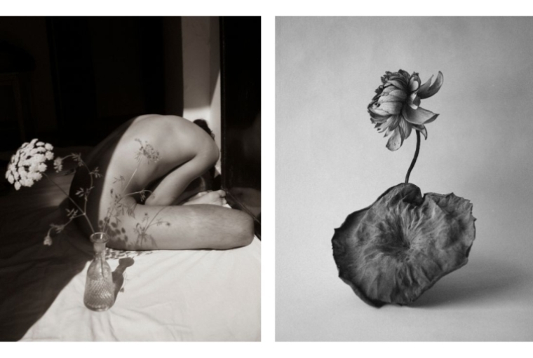 The Extraordinary Within Ordinary Self-potrait | Dead lotus and a leaf (right)